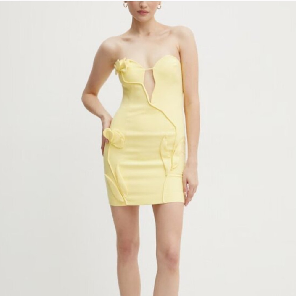 Bardot Eleni Flower Detail Mini Dress Yellow